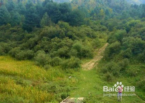 三秦大地三日游记攻略