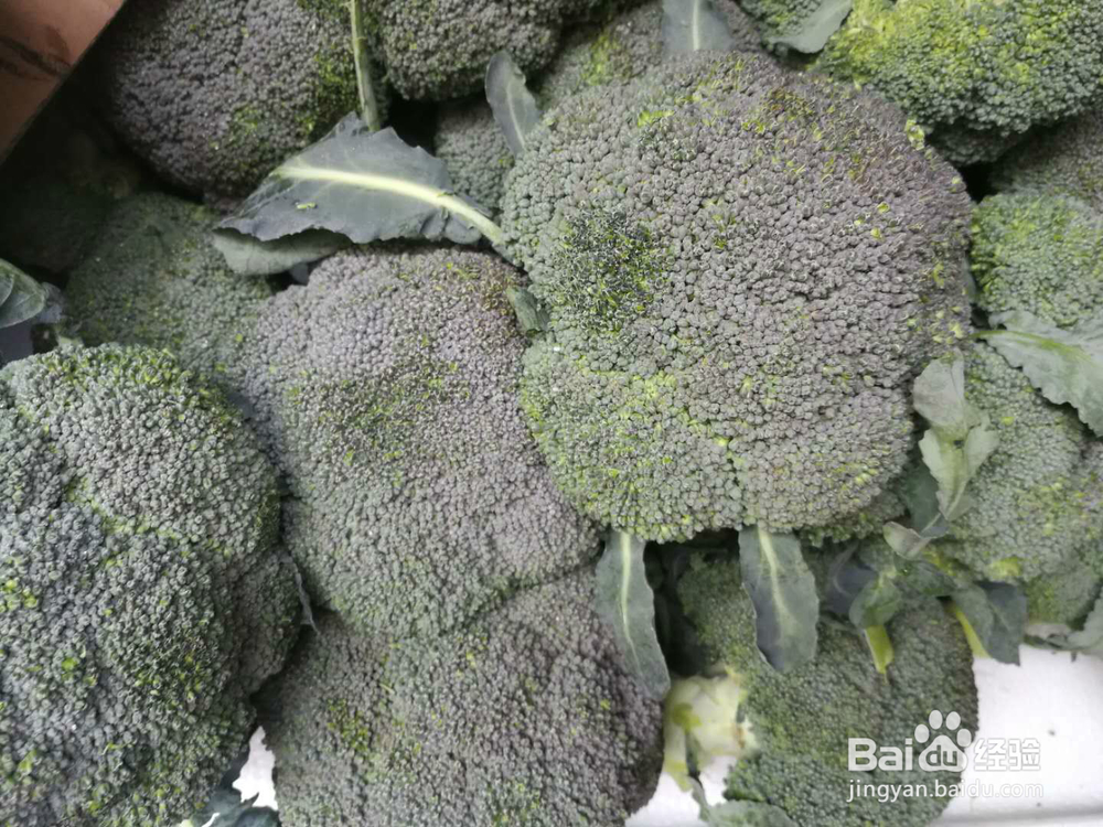 清水煮西兰花