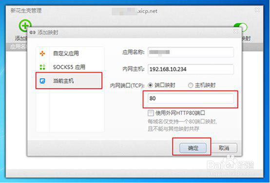 发布内网网站实现方案教程详解