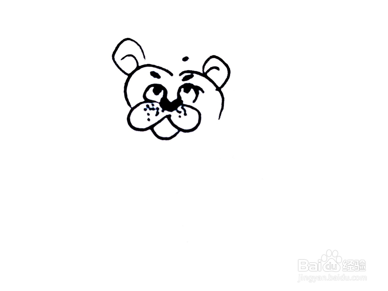 躺着的狮子线描画怎么画