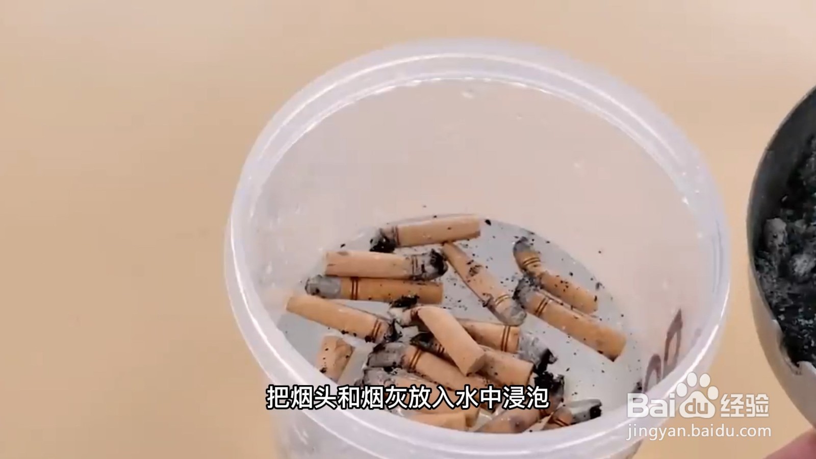 房间里有小飞虫怎么去除