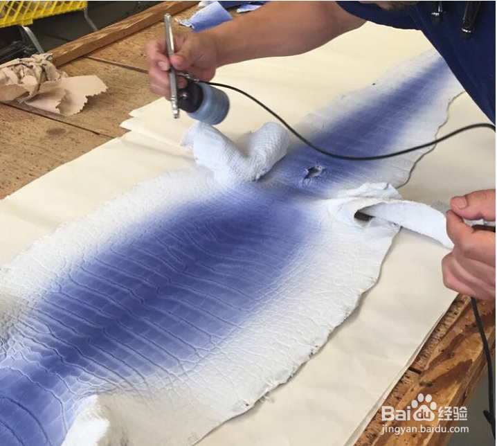 什么是鳄鱼皮染色呢！《有图有真相》