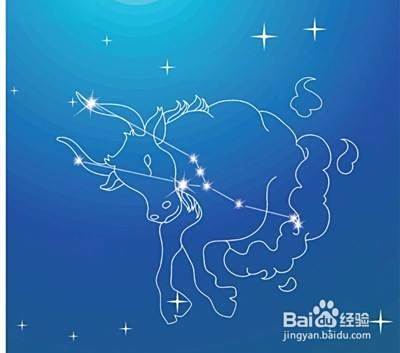 如何判断金牛男是否喜欢你 百度经验 如何判断金牛男是否喜欢你 百度经验