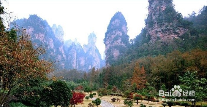 南阳到张家界自驾游