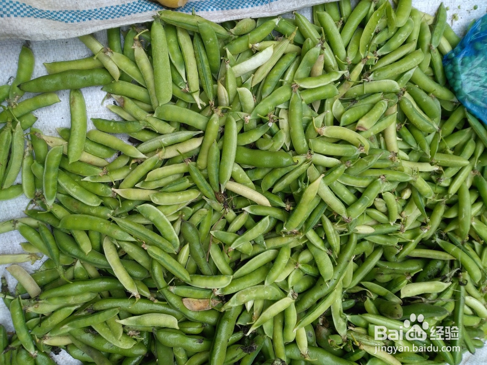 豌豆玉米炒肉丁的家常做法