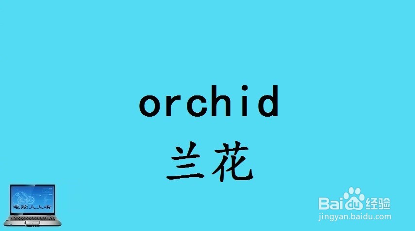 花相关的英语单词