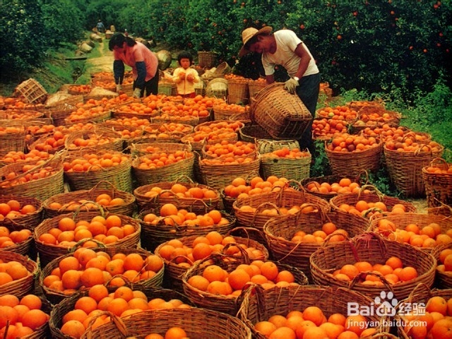 秋天适合去这些地方约会