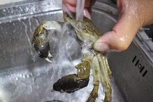 大闸蟹怎么蒸着吃