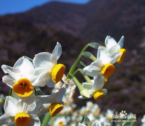 让你一生难忘的话 2