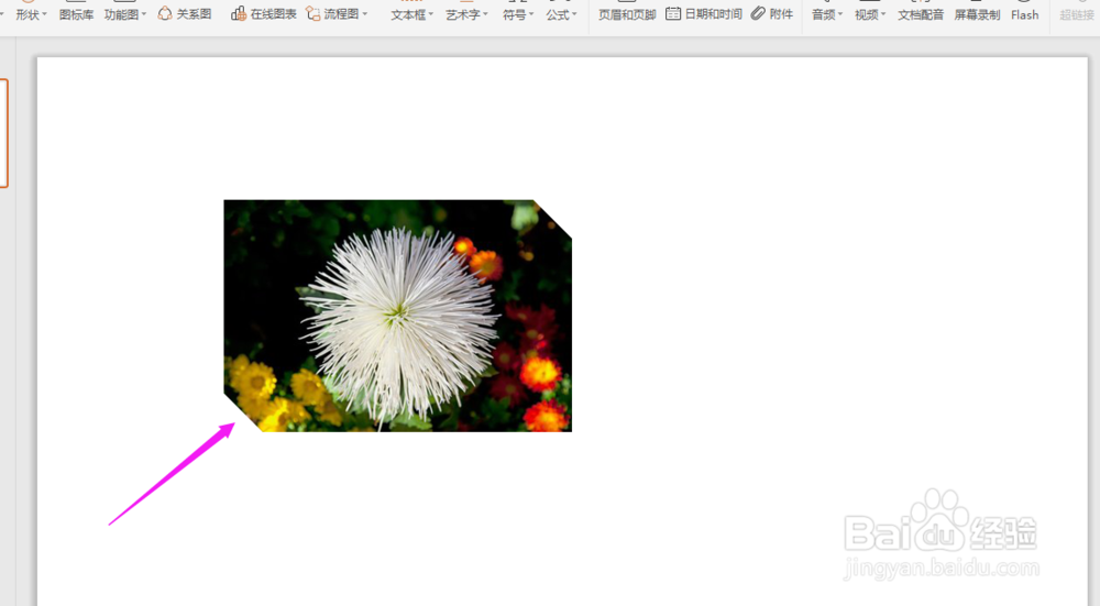 WPS2019中PPT如何给图片换形状?