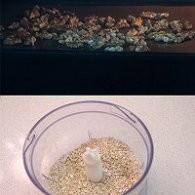 不点外卖122--燕麦核桃干果软欧包