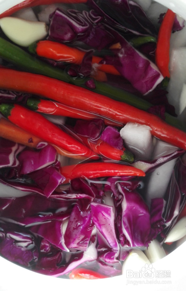 自制四川泡菜
