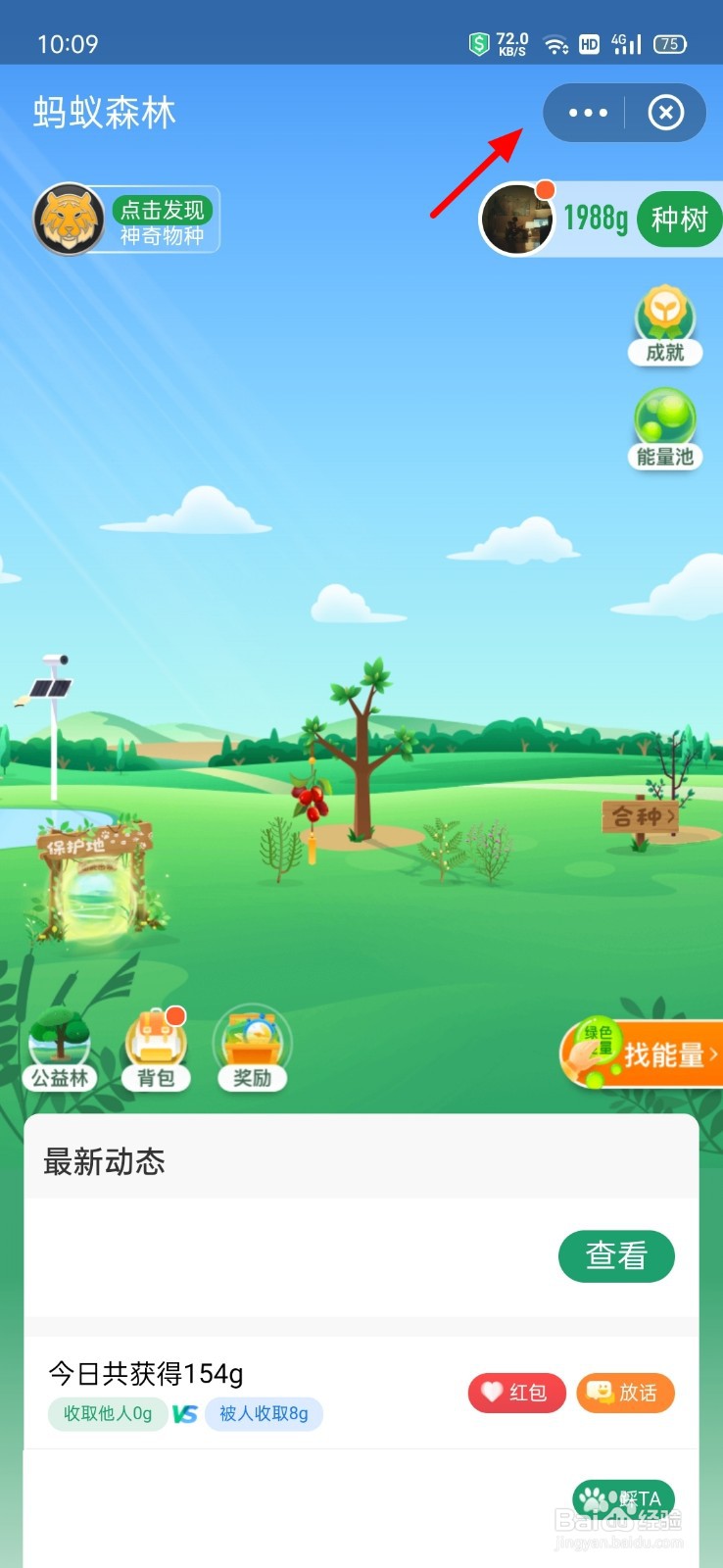 什么行为能导致蚂蚁森林被关闭