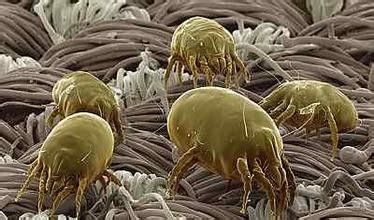 患了荨麻疹应注意哪些问题？