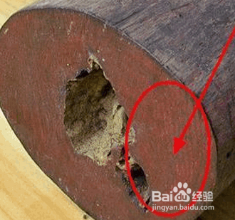 大叶紫檀与小叶紫檀的区别