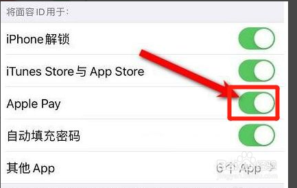 苹果12如何设置面容支付