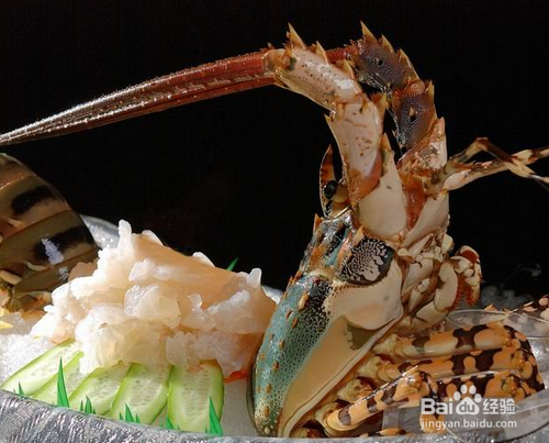 肝脏保养生活常识？