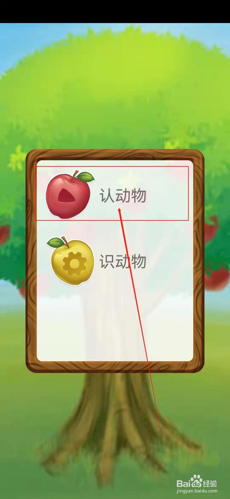 如何观察小动物？