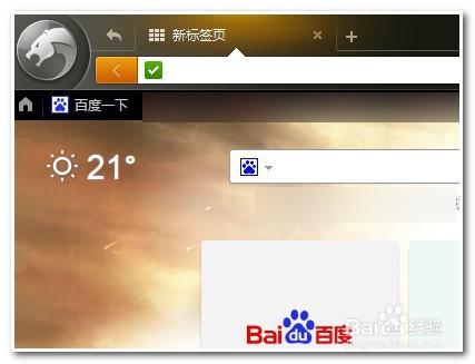 怎样删除猎豹浏览器毒霸网页