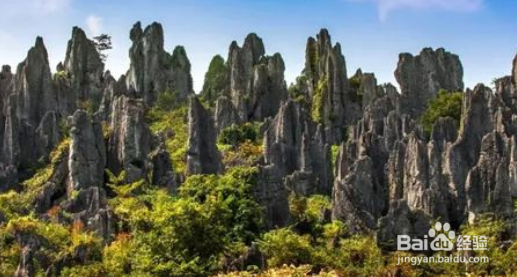 黟西南有什么值得去的地方