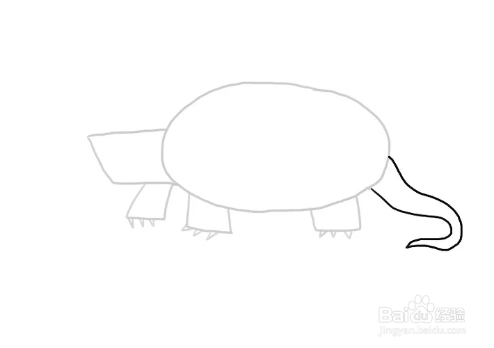 怎么画甲鱼？