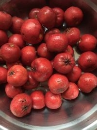 【自制山楂酱】做法一