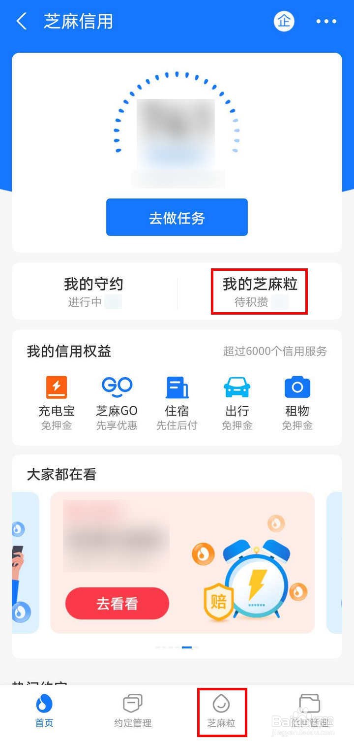 支付宝芝麻信用里的芝麻粒怎么获取