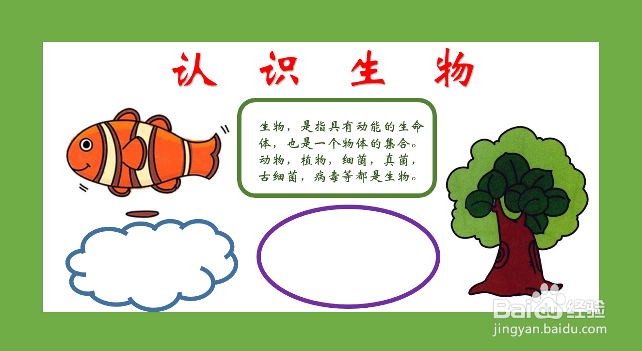 生物手抄报简单又漂亮