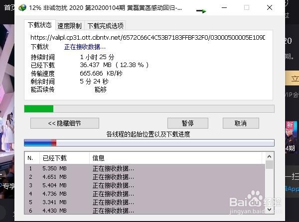 如何使用Internet Download Manager软件