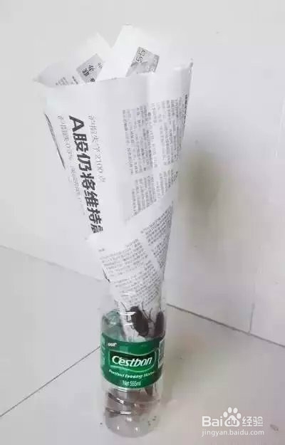 如何用一个方便,卫生又安全的方法杀掉蟑螂呢?