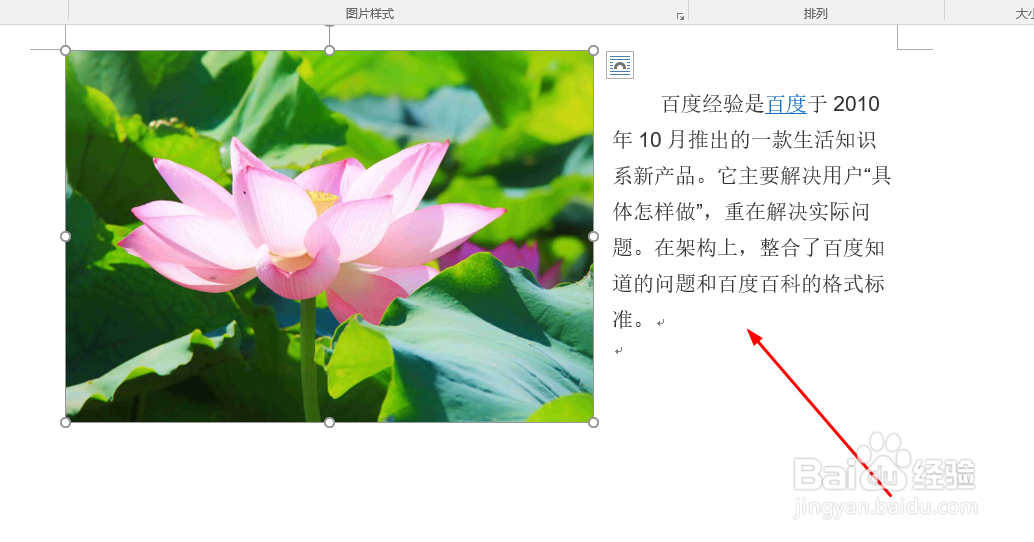 Word中如何设置图片排版样式