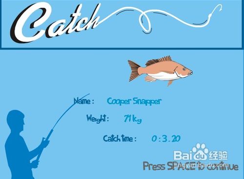 钓鱼玩家-游戏攻略