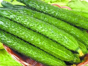 小痘不除大危害