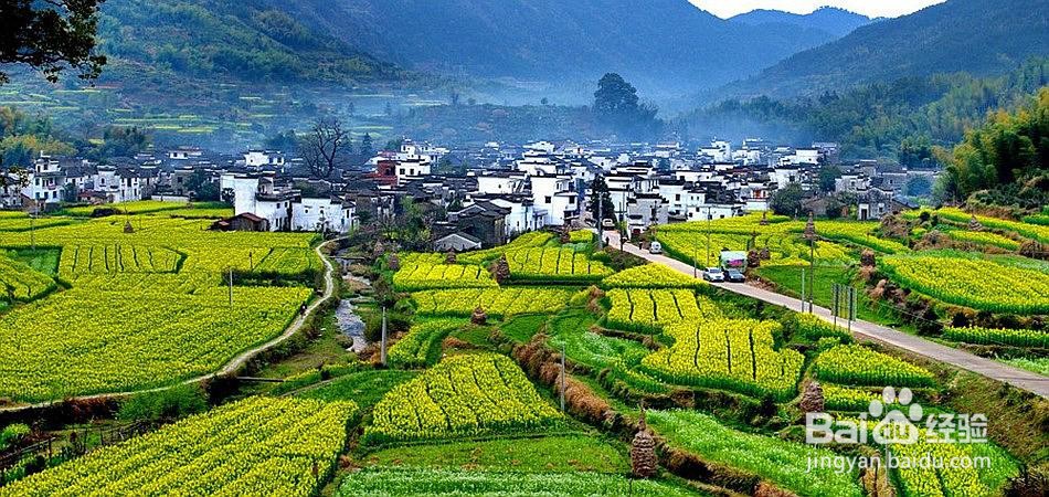 朗基如何建设乡村农业产业园