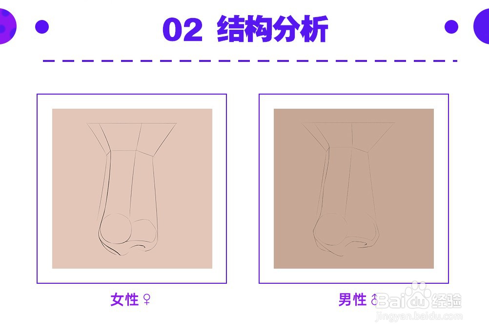 绘画教程：画鼻子教程