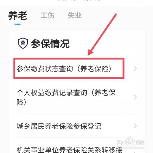如何查询社保参保详情