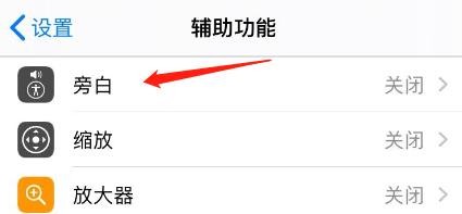 怎么把旁白中的媒体描述改为盲文