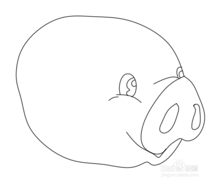 简笔画---卡通小胖猪的画法