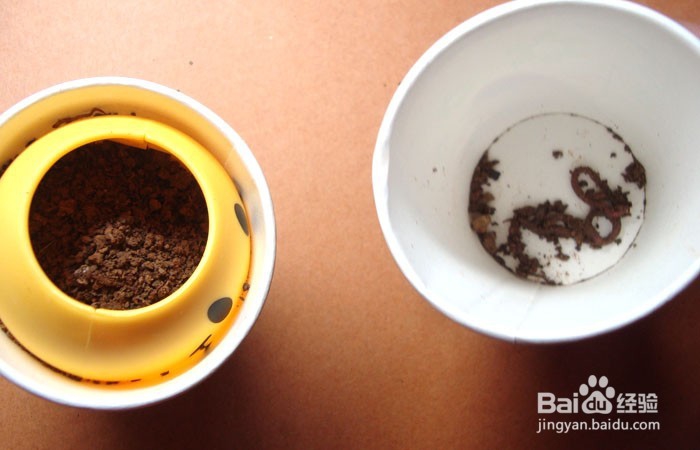 如何教孩子学会种小草