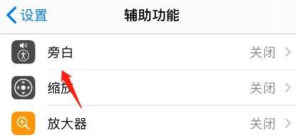 iPhone旁白盲文输入怎么设为简写盲文