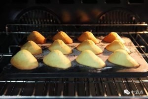 PH配方的法国风味小甜点——玛德琳