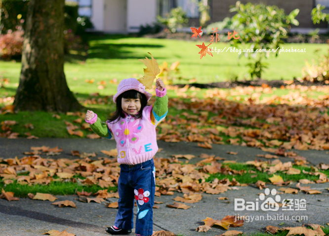 温哥华秋意的乐园，舞动的精灵(组图)