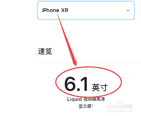 苹果xr手机尺寸