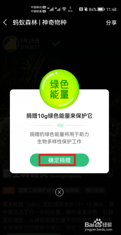 蚂蚁森林怎么助力保护稀有动物