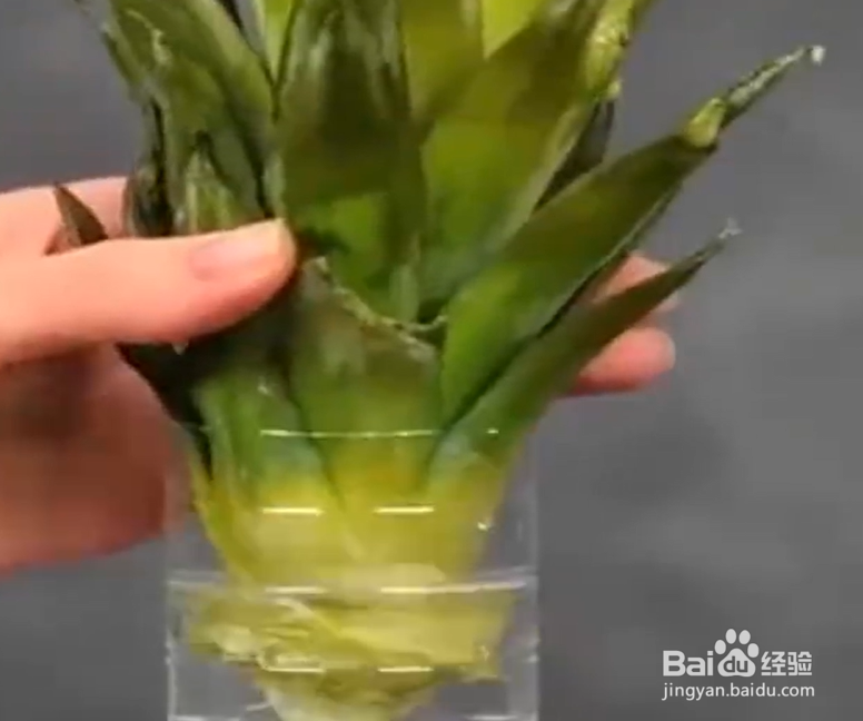 如何学会神奇实用的种植术