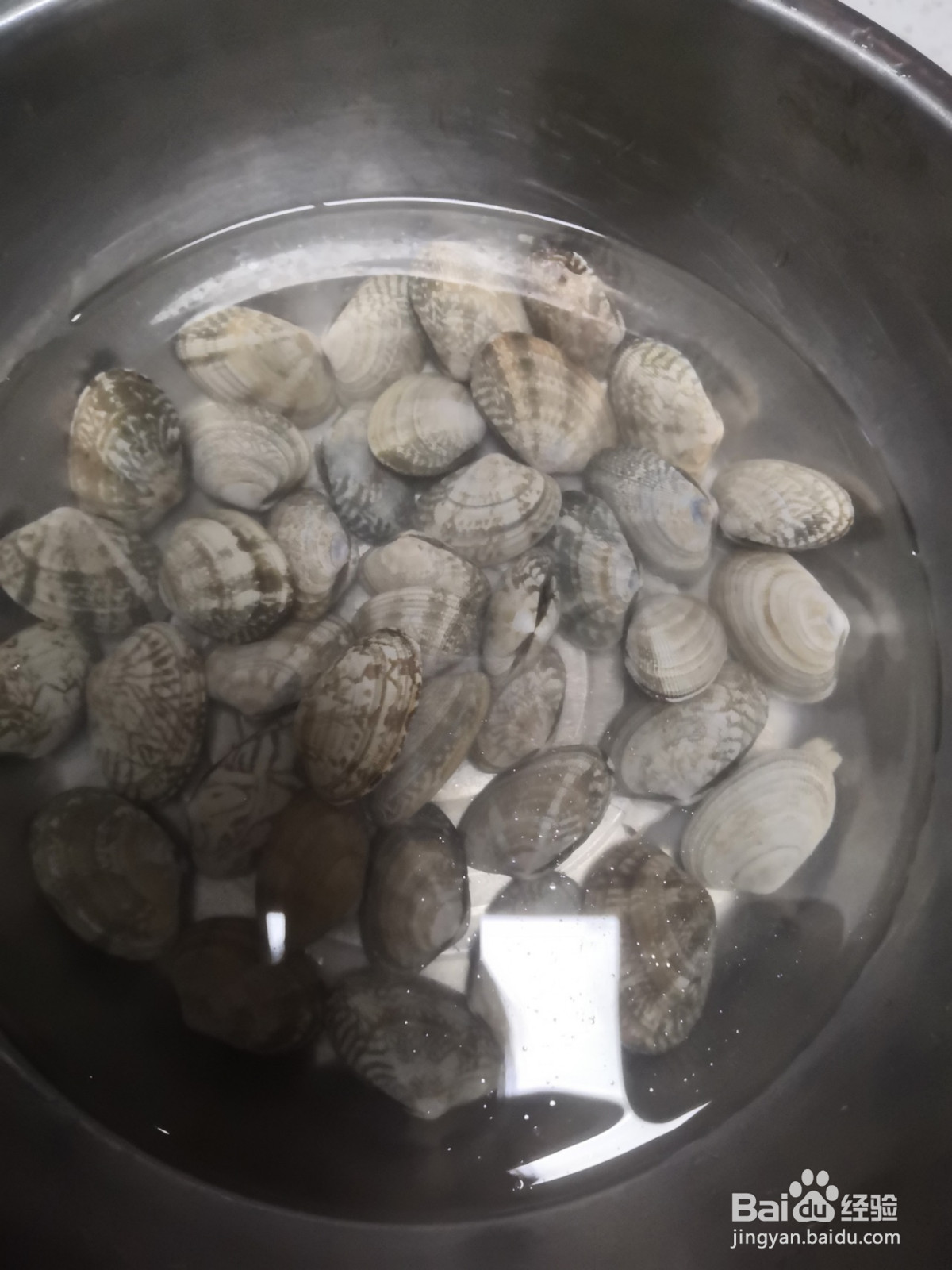 爆潮花蛤的做法