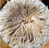 今天吃的油泼金针菇