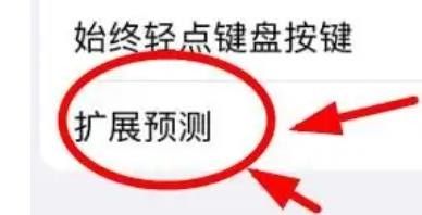 iPhone14怎么设置切换控制的扩展预测