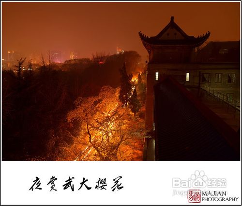 历史名校武汉大学赏樱游记攻略