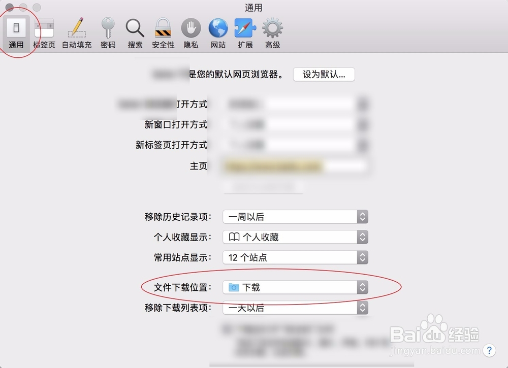 Safari下载的文件在哪里文件下载位置怎么修改